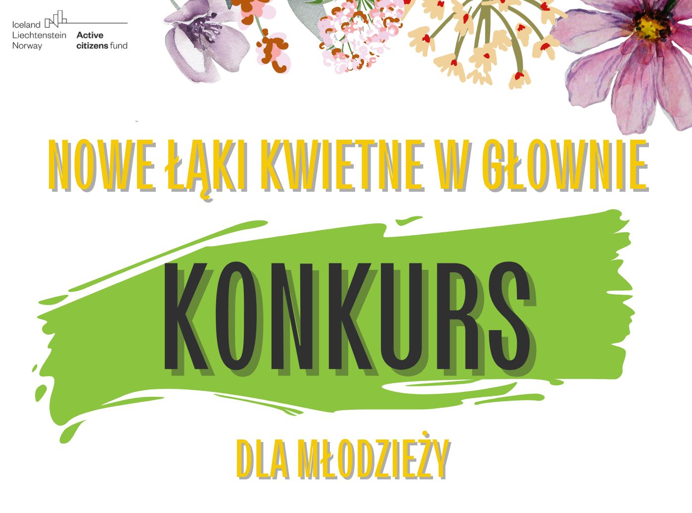 Nowe łąki kwietne w Głownie – Konkurs dla młodzieży